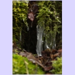 DSCF2669-e.jpg