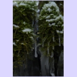 DSCF2695-e.jpg