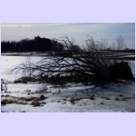 DSCF0953-e.jpg
