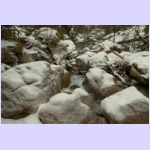 DSCF1896-e.jpg
