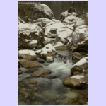 DSCF1919-e.jpg
