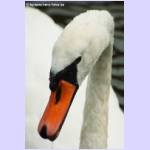DSCF5853.jpg