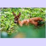 DSCF5862.jpg