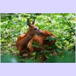 DSCF5866.jpg
