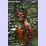 DSCF5872.jpg