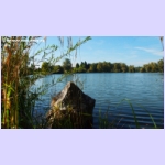 DSCF9015.jpg