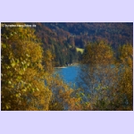 DSCF0884-e.jpg