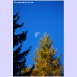 DSCF0898-e.jpg