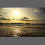 DSCF5890-e.jpg