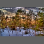 HDR-Farbig.jpg