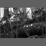 DSCF0849-e.jpg