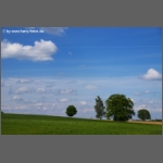 DSCF6193-e.jpg