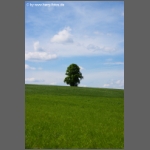DSCF6194-e.jpg