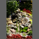 DSCF6626-e.jpg