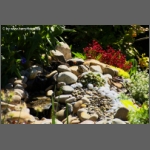 DSCF6634-e.jpg
