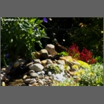 DSCF6665-e.jpg