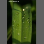 DSCF6724-e.jpg