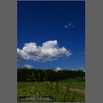 DSCF0849-e.jpg