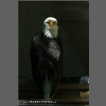 DSC_1825-e.jpg