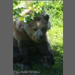 DSC_1881-e.jpg