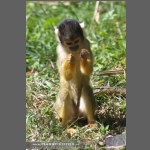 DSC_0040-e.jpg