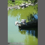 DSC_0071-e.jpg