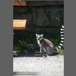 DSC_0237-e.jpg