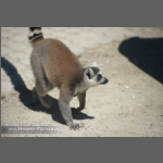 DSC_0279-e.jpg