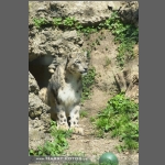 DSC_0363-e.jpg