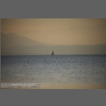 DSC_7712-e.jpg