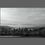 DSC_3631-e-sw.jpg