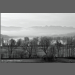 DSC_3636-e-sw.jpg