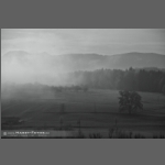 DSC_3685-e-sw.jpg