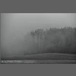 DSC_3697-e.jpg