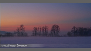 DSC_2572-e.jpg