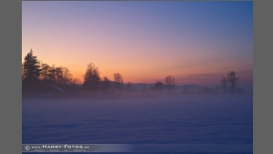 DSC_2588-e.jpg