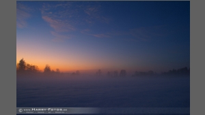DSC_2613-e.jpg