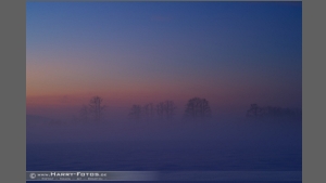 DSC_2624-e.jpg
