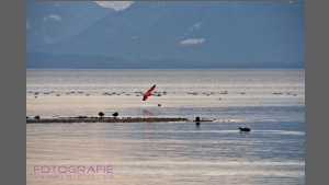 DSC_5540-e-b.jpg