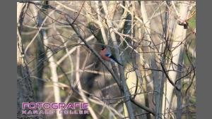 DSCF6122.jpg