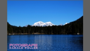 DSCF6898-b.jpg