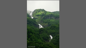 DSC_1999-e.jpg