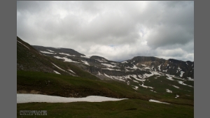DSC_2207-e.jpg