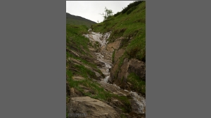 DSC_2256-e.jpg