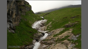 DSC_2408-e.jpg