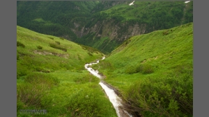 DSC_2420-e.jpg