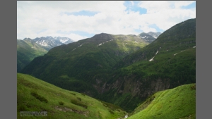 DSC_2436-e.jpg