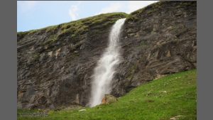 DSC_2452-e.jpg