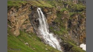 DSC_2656-e.jpg