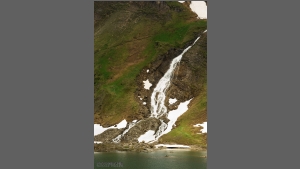 DSC_2704-e.jpg